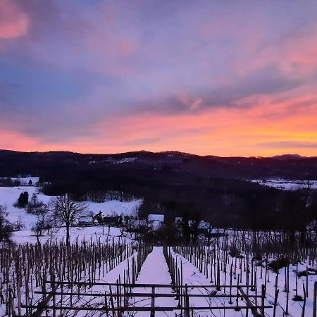 Vineyard Cottage Kulovec Ursna Sela Ngoại thất bức ảnh