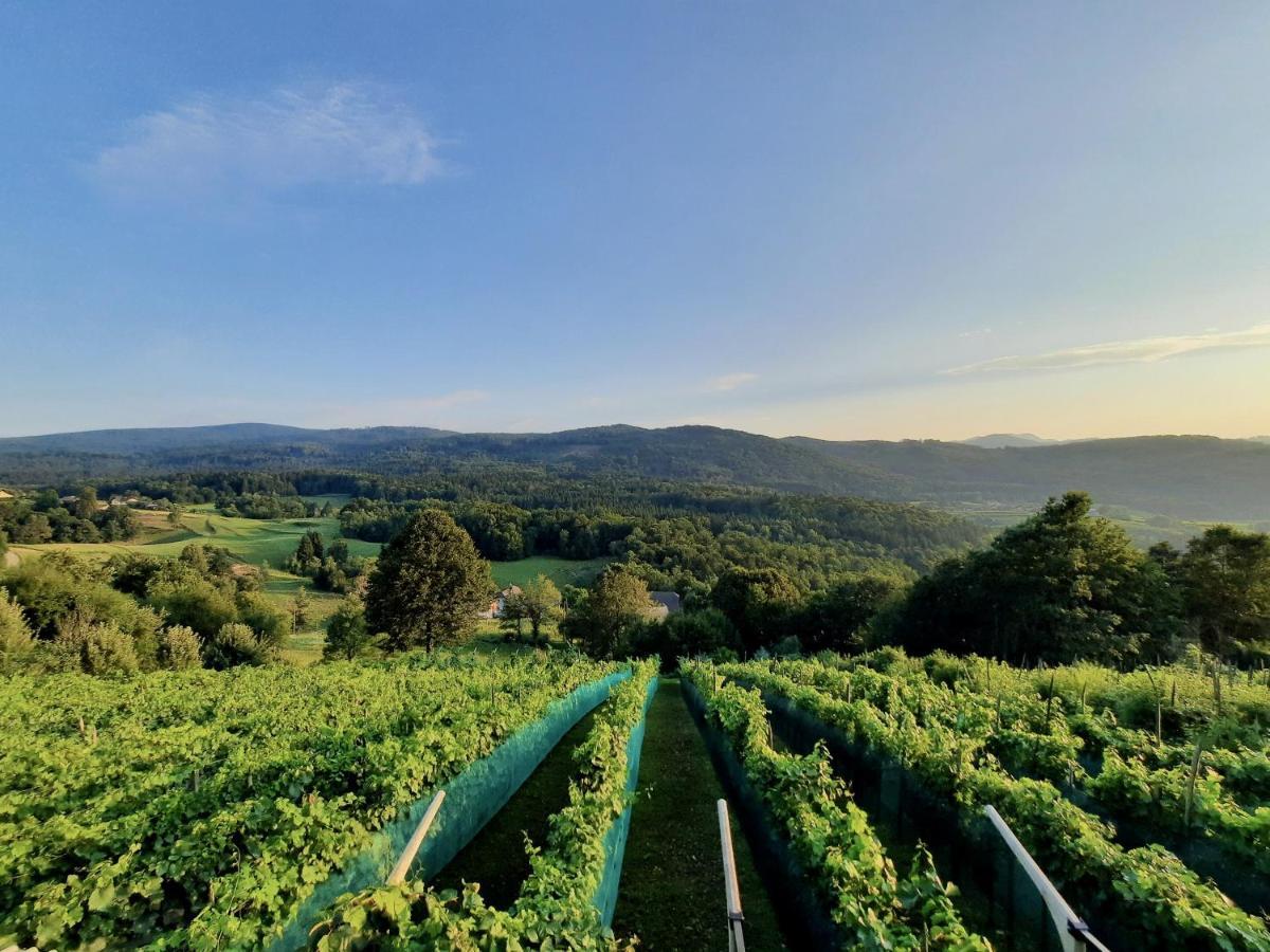 Vineyard Cottage Kulovec Ursna Sela Ngoại thất bức ảnh